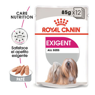 Royal Canin Exigent patê sobresaqueta para cães